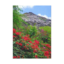 Bougainvillea Sträckt Canvastryck
