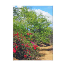 Bougainvillea Sträckt Kanvastryck