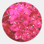 Bougainvilleablommaklistermärke