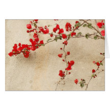 Bougainvilleakort