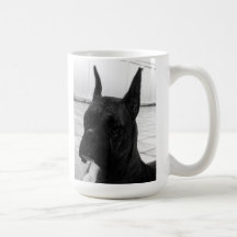 boxarehund mugg
