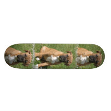 BoxarehundSkateboard