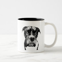Boxer hund i svartvitt muggar