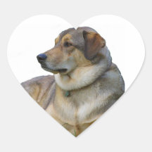 Bra hund hjärtformade klistermärken