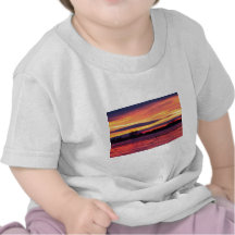 Bra morgongäss tee shirts