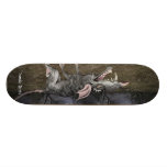 Brännmärkt däckSkateboard för råtta Sk8