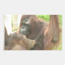 Breastfeeding för Orangutan Rektangelformade Klistermärken