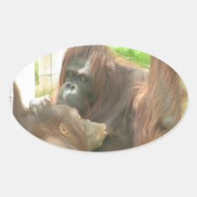 Breastfeeding för Orangutan Klistermärke