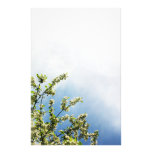 Brevpapper för blått- & vitvårblommar
