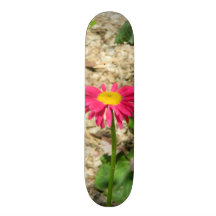 Bright Pink Daisy Custom Skateboard