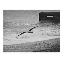 Brighton Vykort