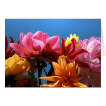 Briljant Dahlias som är tänkande av dig Hälsningskort