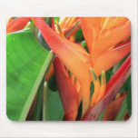 Briljant Heliconia tropiska blommor Mus Matta