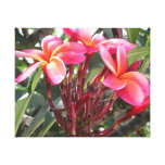 Briljant rosa Plumeria slågen in kanfas Kanvasduk Med Gallerikvalitet