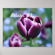 Bristol, RI Posters