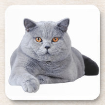 Brittisk shorthairkatt dryck underlägg