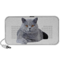Brittisk shorthairkatt högtalare att ta med sig
