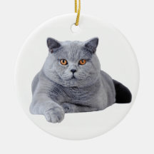 Brittisk shorthairkatt julgransdekorationer