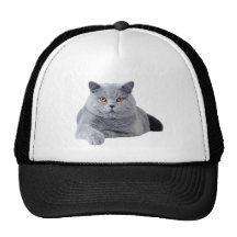 Brittisk shorthairkatt trucker keps