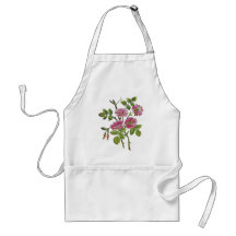 Broderade rosa gammala engelska ro förkläde