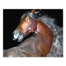 Brons hästskulptur fotografiskt tryck