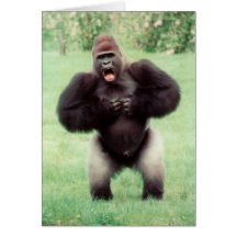 Bröstkorg för Silverbackgorillastryk Kort
