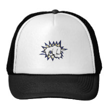 Bruisermakers logotyphatt 2009 mesh kepsar
