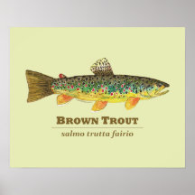 Brun forelllatinIchthyology Affisch