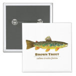 Brun forelllatinIchthyology Nål