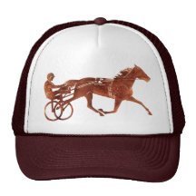 Brun PacerSilhouette Trucker Kepsar