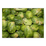 Brussel - groddar kort