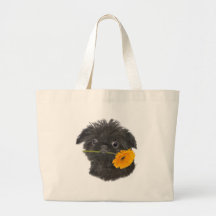 Bryssel Griffon daisygåvor Kasse