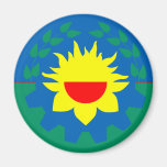 Buenos Aires Argentina flagga Kylskåpmagneter