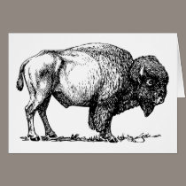 Buffel- eller Bisonhälsningkort kort