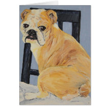 Bulldogg Madeline Kort