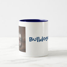 Bulldoggar härskar muggen