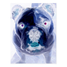 bulldoggnegation vykort
