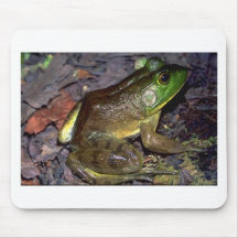 bullfrog3 mus mattor