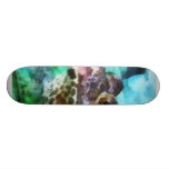 Bullfrogen profilerar skate decks