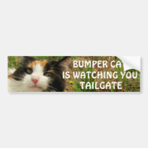 Bumper Cat is watching TAILGATE 7 Bumper Sticker