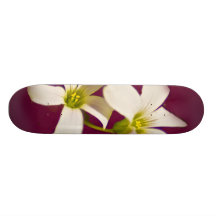 Burgundy vin skate board