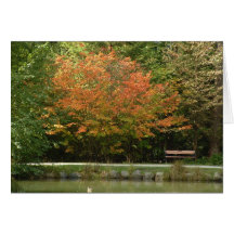 Burnabys Central Park - höstfärger Hälsningskort