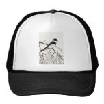 Buse-påskyndad svala baseball hat