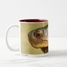 Bush 01 kaffe koppar
