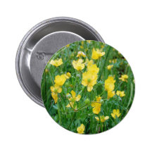 Buttercups Knappar Med Nål