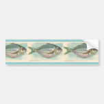 Butterfish Bildekaler
