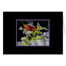 Butterfly2 Hälsningskort