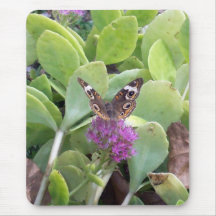 ButterflyFlower Musmatta