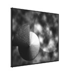BW   24 x 30 för ETT SLAGS SOLSKYDD   (641) Sträckta Canvas Tryck