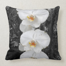 Bw-Orchid Kuddar